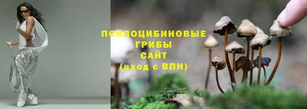 спайс Аркадак