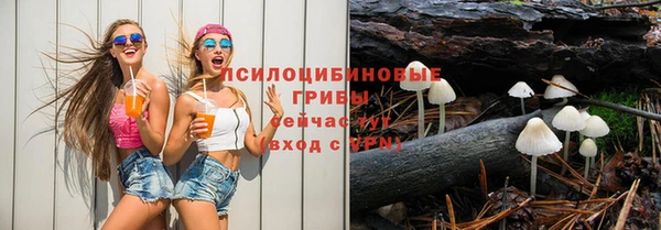 спайс Аркадак